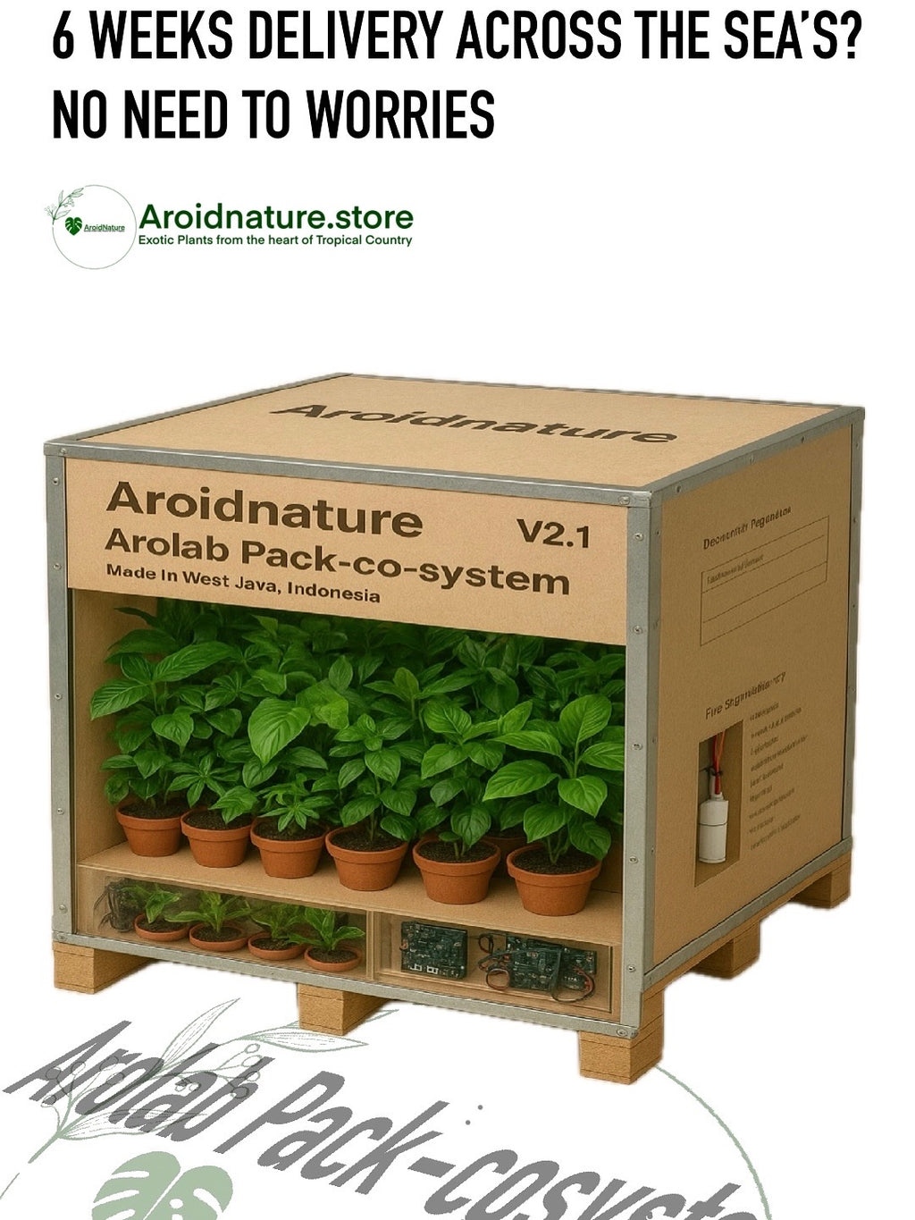 1000 Plant Arolab Pack-cosystem® V2.1