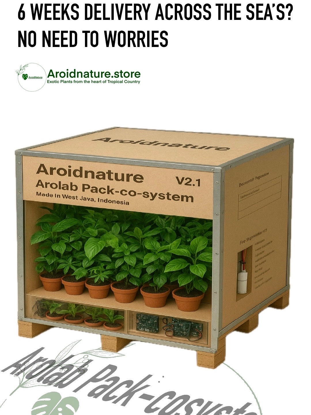 1 Plant Arolab Pack-cosystem® V2.1